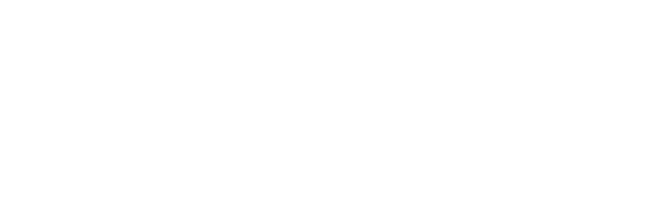 Logo ERP AI